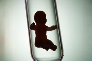 专家肖像